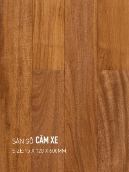 Sàn gỗ căm xe 120x600mm